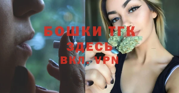 mdpv Пестово