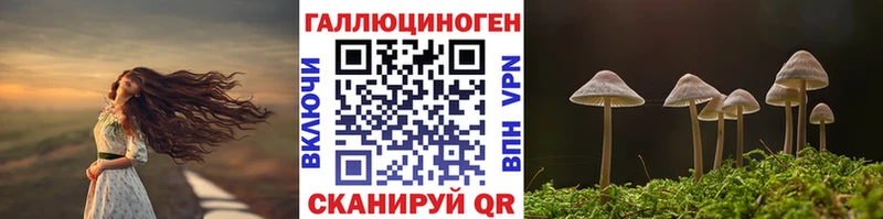 Псилоцибиновые грибы GOLDEN TEACHER Чёрмоз